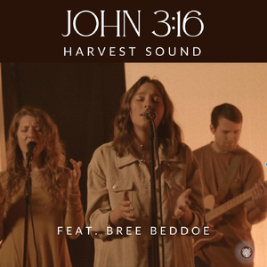 John 3:16 (Live) [feat. Bree Beddoe]