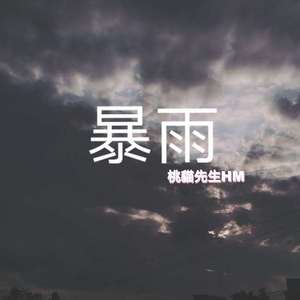 暴雨(prod by隔壁老李)