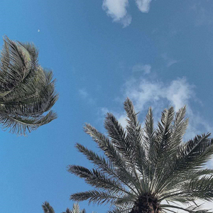 温柔半两 从容一生