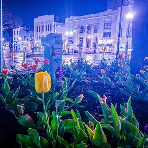 Robert James (Happy Birthday)