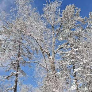 晓风吹雪（纯钢琴）