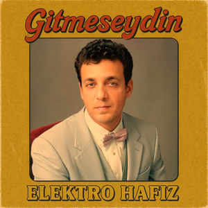 Gitmeseydin