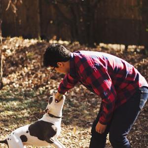 真相 徘徊与寻觅