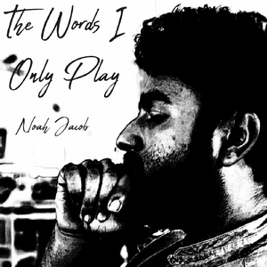 The Words I Only Play
