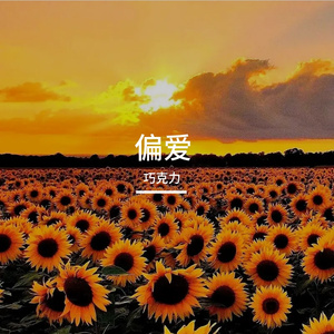 被偏爱的向日葵