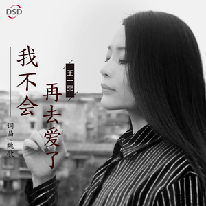 我不会再去爱了