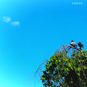 4月のうた