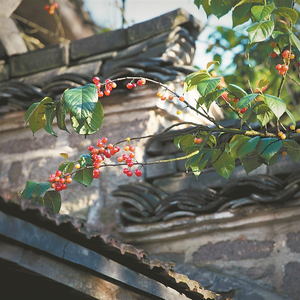 等你的繁华（翻自 云の泣）