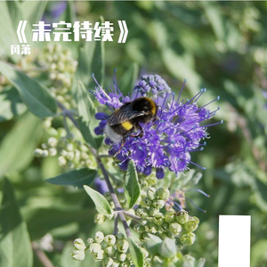 《未完待续》