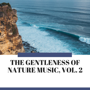 Harmonic Ocean Splash