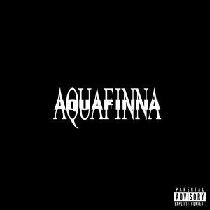 AQUAFINNA (FINE SHIT BEAT)