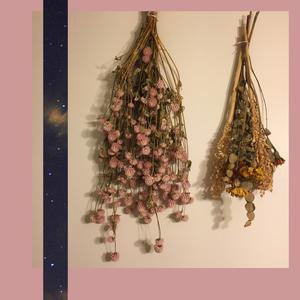 The Captain Has Bad Dreams