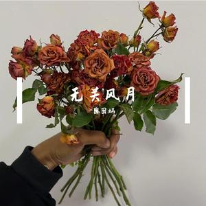 姑娘走过的地方