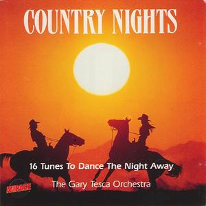 Take Me Home, Country Roads - Instrumental Cover