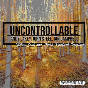 Uncontrollable (Stolen Soul Remix)