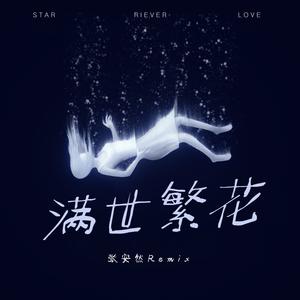 敬往事一杯酒 (DJ版)