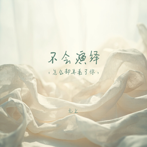 不会演绎(怎么却弄丢了你)