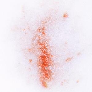 怪兽出没请注意(Mai 玩具盒 bonus)