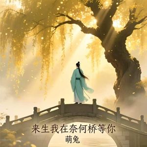 来生我在奈何桥等你伴奏