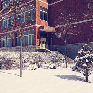 南方的冬天真的太冷啦