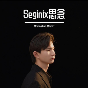 Seginix思念