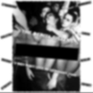 The Scaffolder (Live) (Live)