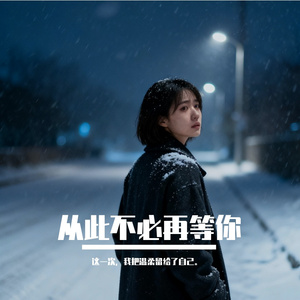 从此不必再等你