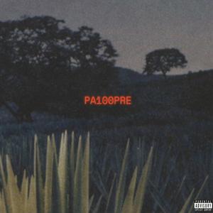 PA100PRE