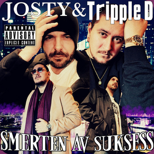 alt jeg ville si, men aldri sa