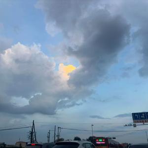 森林精灵的朦胧晨光密语