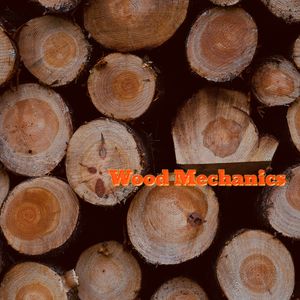 Wood Mechanics