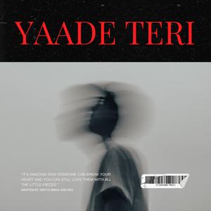 Yaade Teri