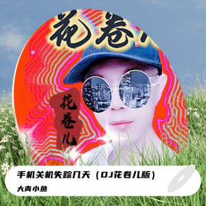 手机关机失踪几天 (DJ花卷儿版伴奏)