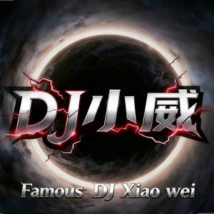 何玉 / 郑智化-水手/大东北（DJ小威）（DJ小威 / DJ小轩Remix remix）
