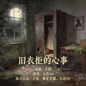 旧衣柜心事