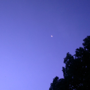 乌兰巴托的夜（Cover 左小祖咒）