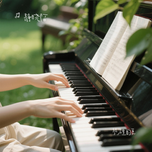 琴声里的夏