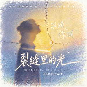裂缝里的光