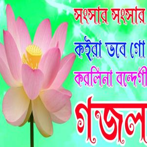 সংসার সংসার কইরা ভবে গো (8)