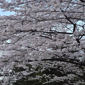 ระหว่างเรา (Between Us)