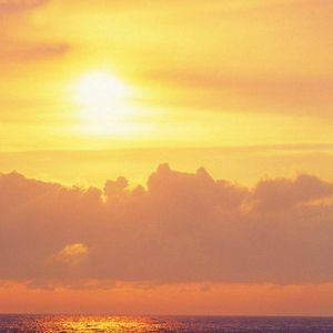 入了我的心丢了我的魂0.8x