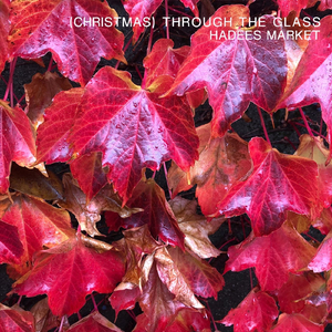 (Christmas) Through the Glass