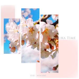 Sakura Time