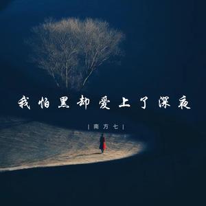 我怕黑却爱上了深夜