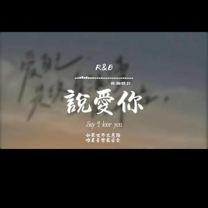 說愛你(R&B)