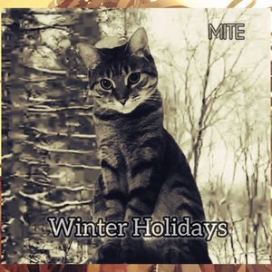 Winter Holidays