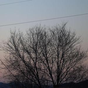 水星记（吉他版）