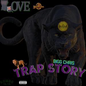 TRAP STORY