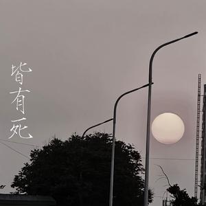 皆有死