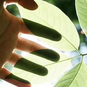 夜深忽梦少年事，梦啼妆泪红阑干